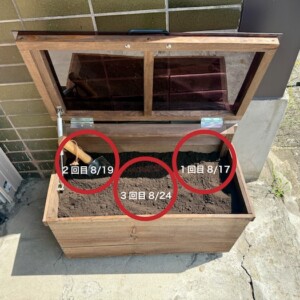 一週間前に投入したコンポストの生ごみはどうなった？