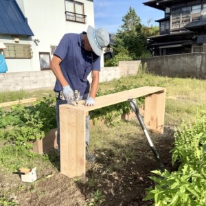 今年最後のレイズドベッドと大根の種まき