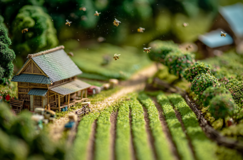 ミツバチが消えると、私たちの未来はどうなるのか？