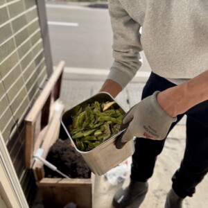 冬のコンポストは機能するか？