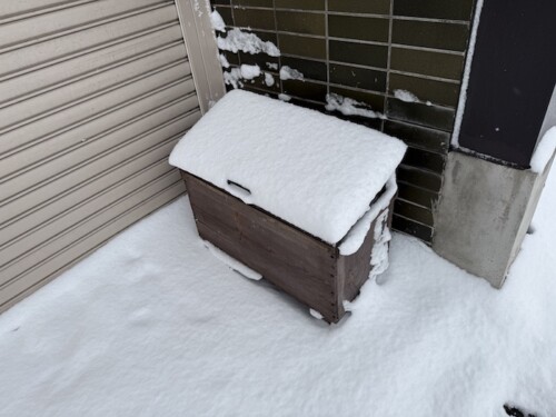 越冬後のコンポスト