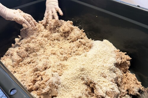 １年分の味噌づくり（その５）〜塩切り麹を作る