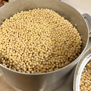 １年分の味噌づくり（その２）〜仕込みを開始！