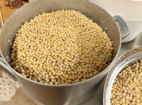 １年分の味噌づくり（その２）〜仕込みを開始！