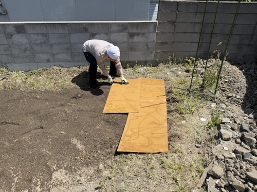 レイズドベッドから露地栽培へ（３）〜ダンボールマルチ