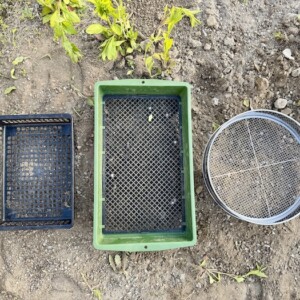 レイズドベッドから露地栽培へ（２）〜石を取り除いていく。