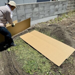 空き地を野菜畑にする（２日目）