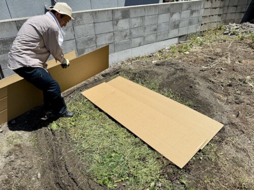 空き地を野菜畑にする（２日目）
