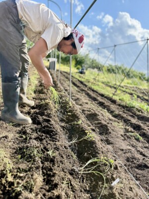 はたけの学校が始まって3回目〜お岩木山自然農園板柳校