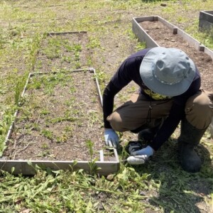 レイズドベッドから露地栽培へ（１）〜レイズドベッドを解体する。